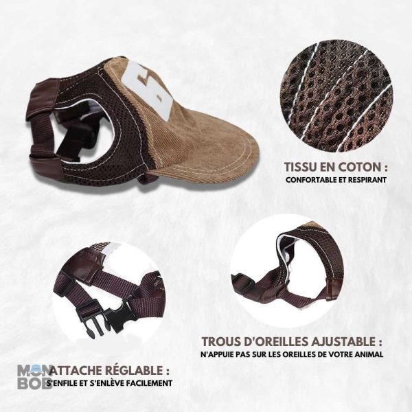 Casquette pratique pour protéger le chien du soleil