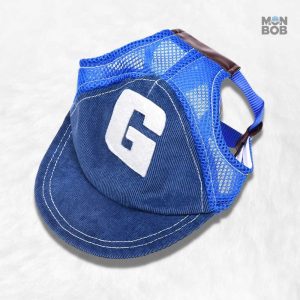 Style unique pour les chiens à la mode