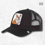 Casquette Trucker Chien noire pour un style décontracté